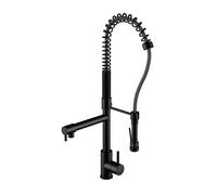 Steinberg 100 - Grifo de fregadero con brazo flexible y ducha, negro mate 100 1480 S