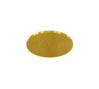Steinberg serie 100 ducha mural, ducha efecto lluvia, redonda, 200x8 mm, 1001687BG, Color: Oro cepillado