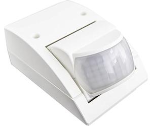 Steinel Detector de Movimiento por Infrarrojos Is 2160 Blanco | Sensor Orientable 160°, Máximo 12 m, Sensor Crepuscular, Ip54, Máximo 600 W