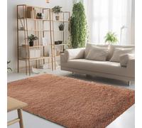 STGAO Alfombra de Felpa 170 x 200 cm Lavable Antideslizante Alfombra Mullida para Dormitorio sin Pérdida de Cabello Adecuado para Salón Dormitorio Baño Sofá Silla Cojín, Caqui