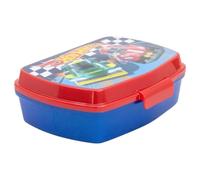 DESTABLECIMIENTO DE CAJA DE CARTERAS BLUEFIRE