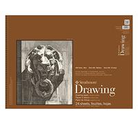 Strathmore 400-108 400 Series Dibujo, superficie lisa, 45,72 x 60,96 cm, 24 hojas