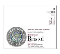 Strathmore (580-82 500 Series Bristol, superficie de vitela de 2 capas, 14 x 17 pulgadas, gris, 15 hojas)
