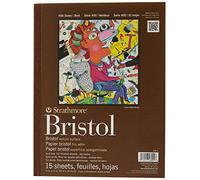 Strathmore Serie 400 Bristol, Papel, vitela, 2 Capas, 9 x 12 Pulgadas