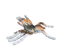 Stylebest Decoración De ArañA De Halloween, Juguete Realista Falso, Asustar A Amigos, Adecuado para Fiesta De Halloween, Plástico Ambiental, 1 Pieza