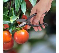 Stylebest Tijeras de Podar, Ergonómico, Herramienta de Jardinería de Acero para Arreglos Florales Bonsái, 18cm (Prefectura Ike no Tumba)