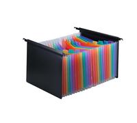 SUIOPPYUW Práctica Carpeta Colgante de 25 Bolsillos, expandible, con Etiquetas, para informes mensuales, Tipo acordeón y archivador, Vistoso