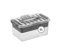 Sunware Q-line Caja De Almacenamiento 6L - 30x20x14,5 cm - Con Bandeja Interior - Transparente Metalizada - Caja Con Tapa