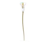 Swarovski Complemento Garden Tales Calla Lily Dorado