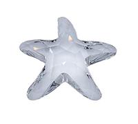 Swarovski SCS Seestern Starfish Member 679350 AP 2005