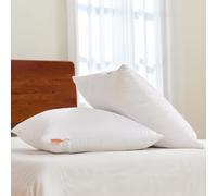 Sweetnight 2PCs Almohadas de Fibra 40x40cm de Dormir, Cojín para Cama con Relleno de Fibra Confort y Transpirable, Suave al Tacto, Ajusta la Altura con Cremallera Lateral, Lavable a la Máquina