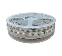 Synergy21 Synergy 21 LED Flex Strip 5050 - 60 RGB DC24V + RGB-WW (RGB-CCT) 10m IP20