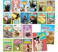 T MARIE 40 tarjetas postales divertidas de animales, paquete de postales para niños, estudiantes, amigos, profesores y más, saluda, gracias o te extraño con bonitas tarjetas de notas