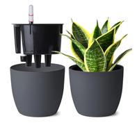 T4u Maceta de Autorriego 15 cm Pack de 2 con Indicador de Agua Gris | Riego reducido, control fácil del agua, raíces hidratadas, Pothos, Monstera, flores, hogar, oficina, ventana, principiantes