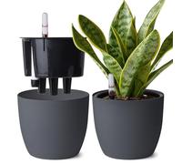 T4u Maceta de Autorriego 20 cm Pack de 2 con Indicador de Agua Gris | Riego reducido, control fácil del agua, raíces hidratadas, Pothos, Monstera, flores, hogar, oficina, ventana, principiantes