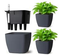 T4u Maceta de Autorriego Cuadrada 13 cm Pack de 3 con Indicador