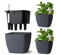 T4u Maceta de Autorriego Cuadrada 17,5 cm Pack de 3 con Indicador | Riego reducido, control fácil del agua, raíces hidratadas, Pothos, Monstera, flores, hogar, oficina, ventana, principiantes