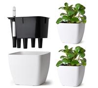 T4u Maceta de Autorriego Cuadrada 17,5 cm Pack de 3 con Indicador | Riego reducido, control fácil del agua, raíces hidratadas, Pothos, Monstera, flores, hogar, oficina, ventana, principiantes