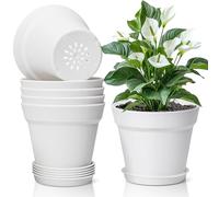 T4u Macetas de Plástico Blancas 16 cm Pack de 6 con Platos para Interior | Plástico resistente, orificios de drenaje, raíces ventiladas, suculentas, cactus, flores, hierbas, balcón, ventana, oficina