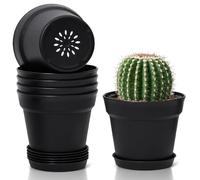 T4u Macetas de Plástico Negras 12,5 cm Pack de 6 con Platos para Interior | Plástico resistente, orificios de drenaje, raíces ventiladas, suculentas, cactus, flores, hierbas, balcón, ventana, oficina