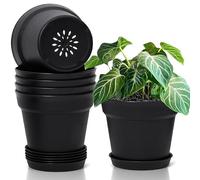 T4u Macetas de Plástico Negras 16 cm Pack de 6 con Platos para Interior