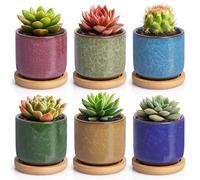 T4u Macetas Pequeñas de Cerámica 6 cm Pack de 6 para Cactus y Suculentas | Platillos incluidos, orificios de drenaje, escritorio, estantería, ventana, oficina, dormitorio, hogar, decoración, regalo