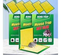 Tablero de pegamento adhesivo para ratón, trampa para atrapar ratones, pegamento adhesivo para ratas, Control de plagas no tóxico para restaurante y cocina, 1-20 piezas BZX-ALST-20PCS