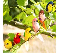 Talking Tables Fst3-Bird Tropical Birds, Multicolor