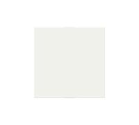 Tapa ciega 2 módulos blanco polar Schneider New Unica - NU986618
