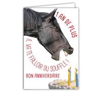 Tarjeta de felicitación de cumpleaños humanística 1 año más con sobre ilustrado, formato 17,5 x 12 cm Caballo Divertido Divertido Rigolo que sopla velas en un pastel - Creación francesa 69-6209
