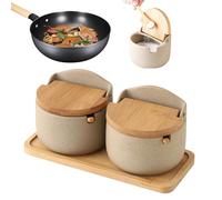 Tarro De Almacenamiento Para Ensalera, De Condimentos De Cerámica, Conjunto De Contenedores De Sal De Encimera, Soporte De Sal Funcional Para Cocina, Bodega De Sal Con Cuchara De Madera