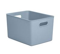 Tatay Cesta Almacenaje Plastico 22 L Baobab | Caja Organizadora | Asas Integradas | Diseño Compacto y Versátil | Plástico Libre de BPA | 29,4x38,5x23 cm, Azul