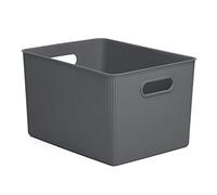 Tatay Cesta Almacenaje Plastico 22 L Baobab | Caja Organizadora | Asas Integradas | Diseño Compacto y Versátil | Plástico Libre de BPA | 29,4x38,5x23 cm, Gris