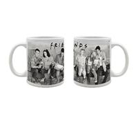 Taza last level friends andamio