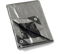 Techo multifuncional de poliéster, 2 m x 2 m, 120 g/m², impermeable, resistente a los rayos UV, resistente a daños, color gris/plateado/