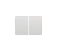 Tecla Doble Pulsador BJC Blanco 2INT 2CONM 2PUL 6530510203