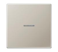 Tecla pulsador simple con visor LS, color acero (referencia: JUNG ES101KO5)