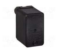 TELEMECANIQUE SENSORS Presostato XMP G3/8 pulgadas