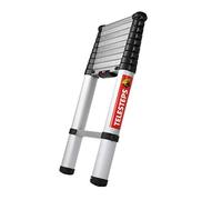 Telesteps Escalera telescópica Ecoline 20130-501 de 3 m