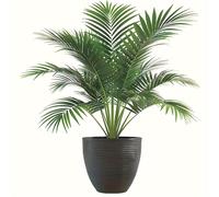 TEMU 1 Adhesivo de pared de tropical - Adhesivo autoadhesivo removible de PVC, adecuado para la decoración del hogar y , para vidrio, decoración de paredes, calcomanías de decoración de
