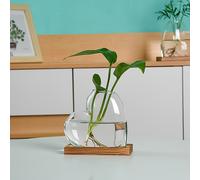 TEMU 1 juego de para flores, botella colgante con rúcula verde y decorativa en vidrio, manualidades de cobre para escritorio