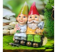 TEMU 1 Pieza Estatuilla de de Jardín en Pareja , Adorno de Gnomos de Resina para Mesa, Decoración de Jardín