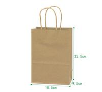 TEMU 12 Bolsa de regalo de papel de 120 gramos (Variados Tamaños) | Bolsas de Compra Ecológicas de Papel | Bolsas de Regalo de Papel (Resistentes, Multitamaño)