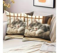 TEMU 2 Fundas de Almohada con Diseño de Gato Adorable, 45.72X45.72Cm, Fundas de Felpa para Cojín de Sofá o Cama para Decoración del Hogar (Paquete de 2)