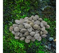 TEMU 20 piezas/ Webetter Piedras de Césped de y Adoquines - Piedras de Resina Adecuadas para Jardín Exterior, , Decoración de Bonsáis Suculentos, Paisajismo del Hogar - Cobertura de Suelo de