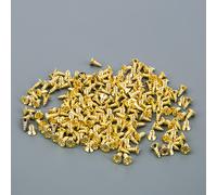 TEMU 200 piezas M2 y M2.5 Mini Tornillos Autorroscantes Telescopiados Phillips Dorados para Joyería y Montaje de Pequeños Ornamentos