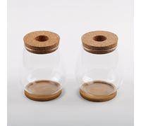 TEMU 2pcs Jarrones Modernos de Vidrio con Bases de Madera y Tapas para Plantas Hidropónicas - Perfectos para Decoración , Oficina y Mesa de Comedor