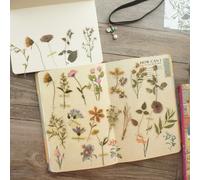 TEMU 40 Pegatinas Naturales para Scrapbooking, Manualidades DIY, Etiquetas de Regalo y Diarios - Formas Irregulares de Flores con , Hojas de Pegatinas de Plástico (No Requerido)