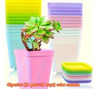 TEMU 42 macetas coloridas para plántulas, juego de macetas pequeñas para plantas, de plástico, cuadrada para plántulas, la mejor opción para plantar suculentas y flores (21 macetas + 21 bandejas)