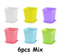 TEMU 6 macetas cuadradas de plástico de 7 cm con bandeja, para plantas suculentas, decoración para , escritorio de oficina, jardinería, regalo de jardinería, decoración del hogar